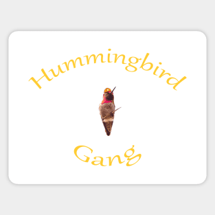 Hummingbird Gang Sticker